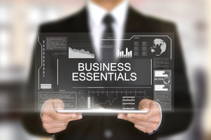 Business Essentials Honors